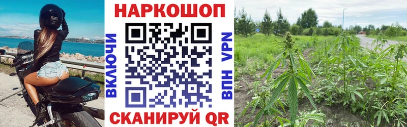 Как найти закладки Среднеуральск ГАШ Каннабис СОЛЬ Мефедрон