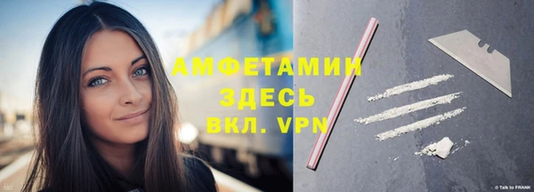 шишки Приозерск